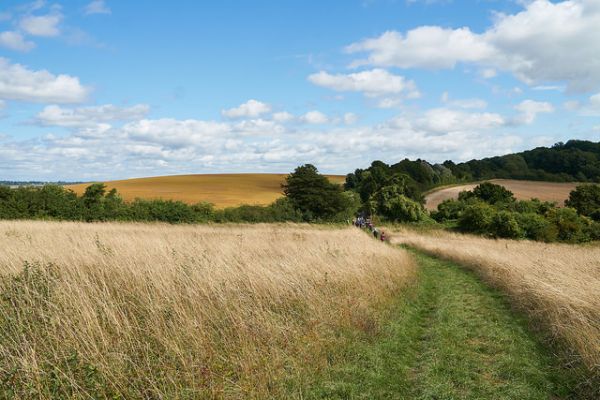 path through harvested wheat, blue sky
